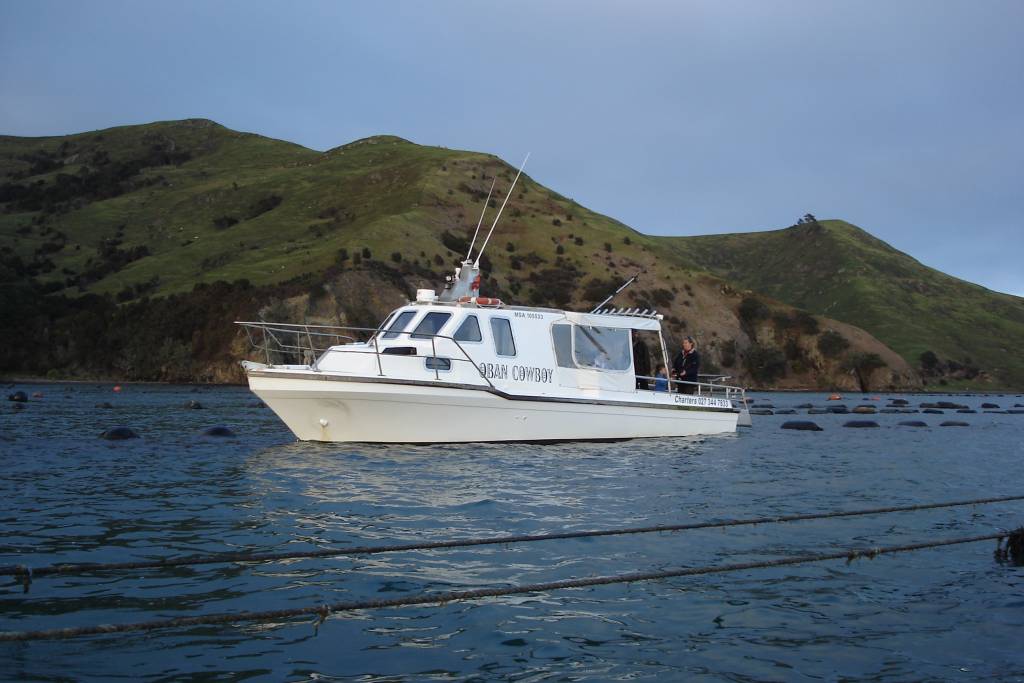 Oban Cowboy - Coro Cowboy Fishing Charters